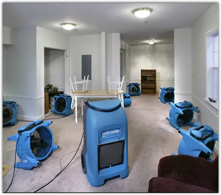 Mold Remediation & Removal in Ocean Pines, MD