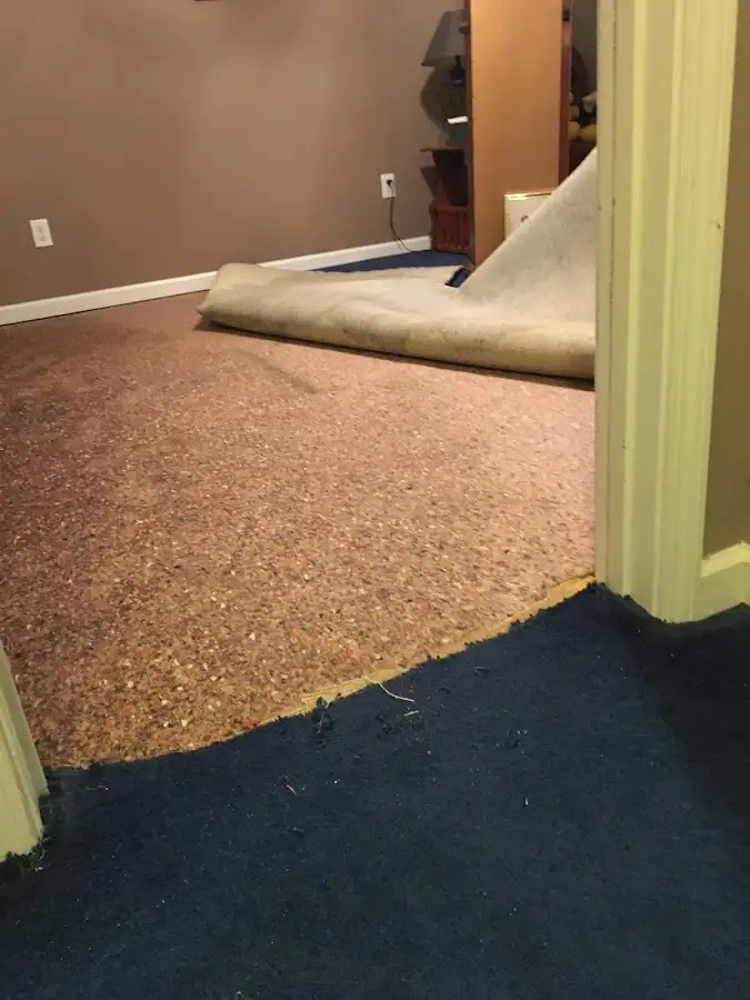 Carpet pad removal revealing water damage during Water Mitigation Services in Ocean Pines