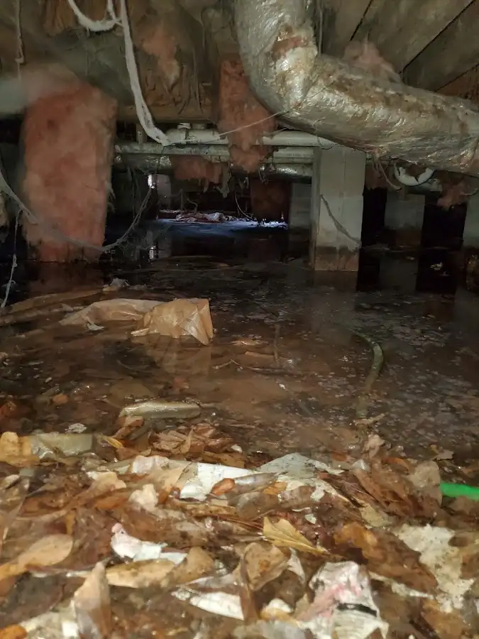 Crawl space flood assessment for Leak Detection & Repair in Ocean Pines